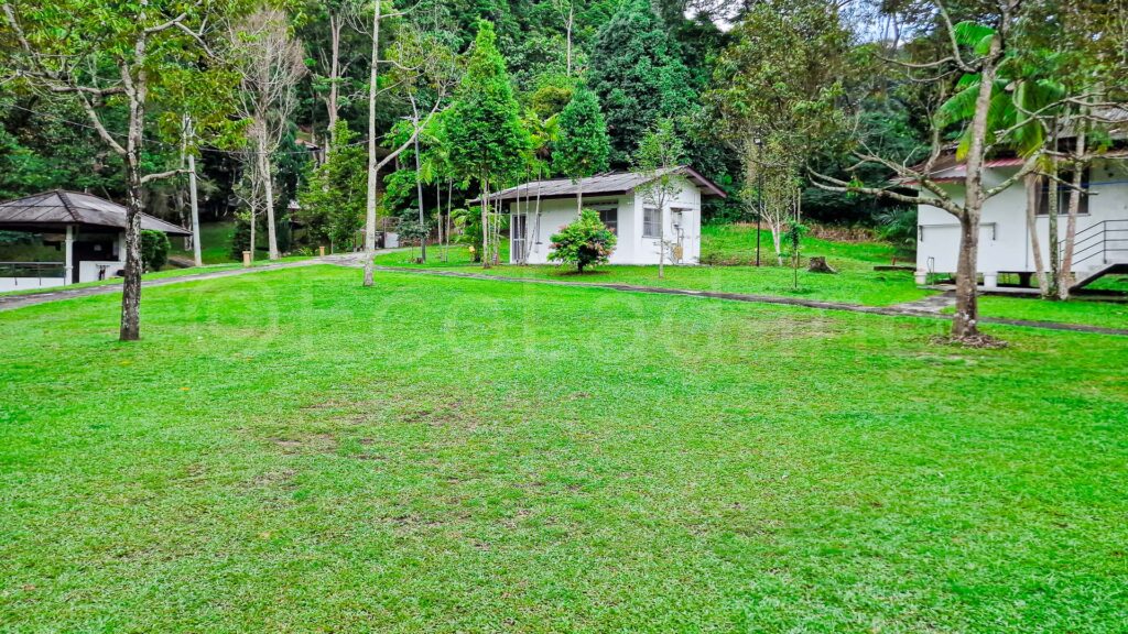 Bhaddekaratta Hermitage Workshops 16x9 SM S908B 2