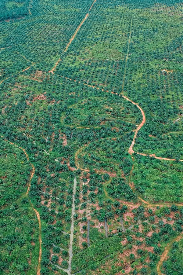 pexels-photo-1606512-1