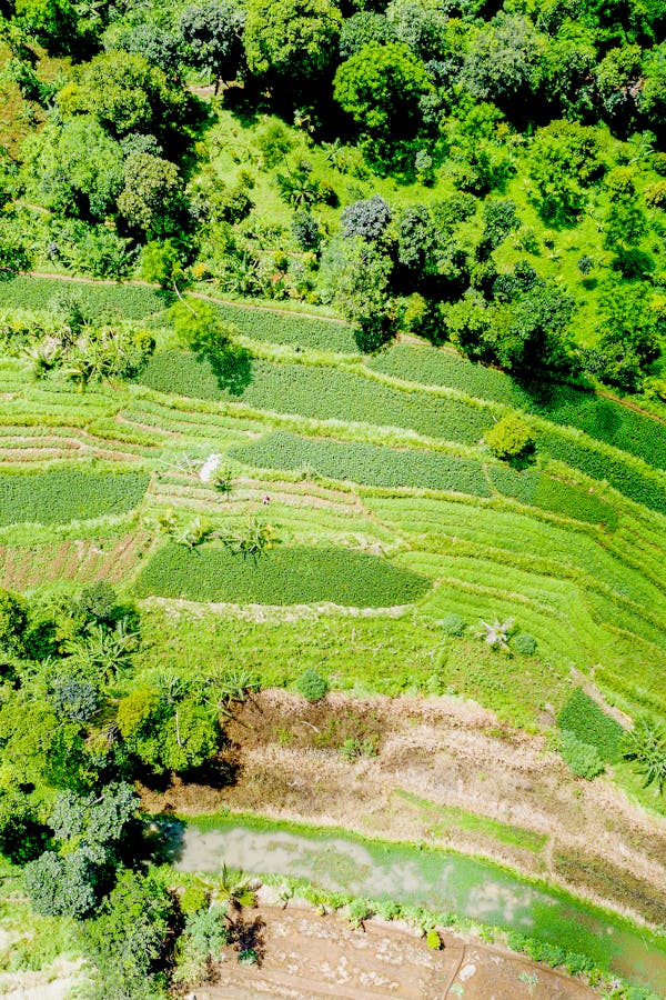 pexels-photo-1865919