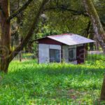 Ecoladang Micro Farm Pilot Perak Canon EOS R5