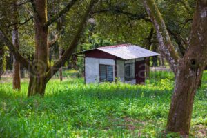 Ecoladang Micro Farm Pilot Perak – Canon EOS R5_ Ecoladang Micro Farm Pilot Perak Canon EOS R5