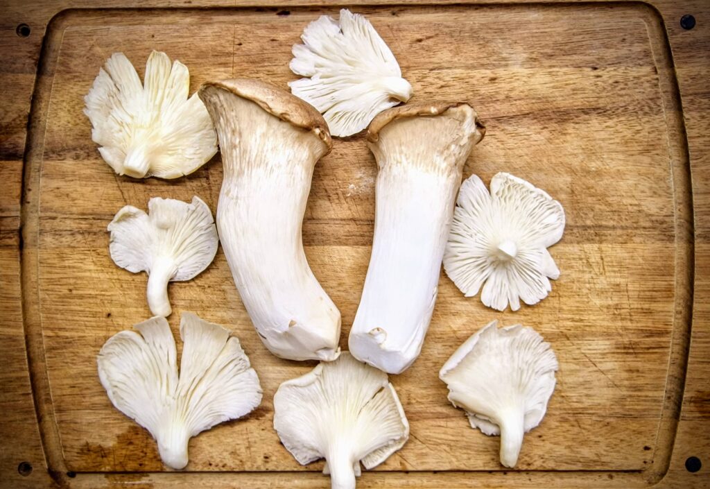 King Mushroom Breadboard