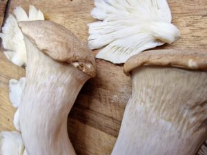 King-Mushroom-Breadboard-close King Mushroom Breadboard