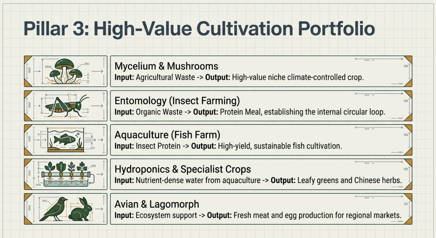 Pillar 3 - Cultivation