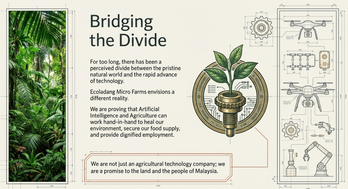 Bridging the Divide