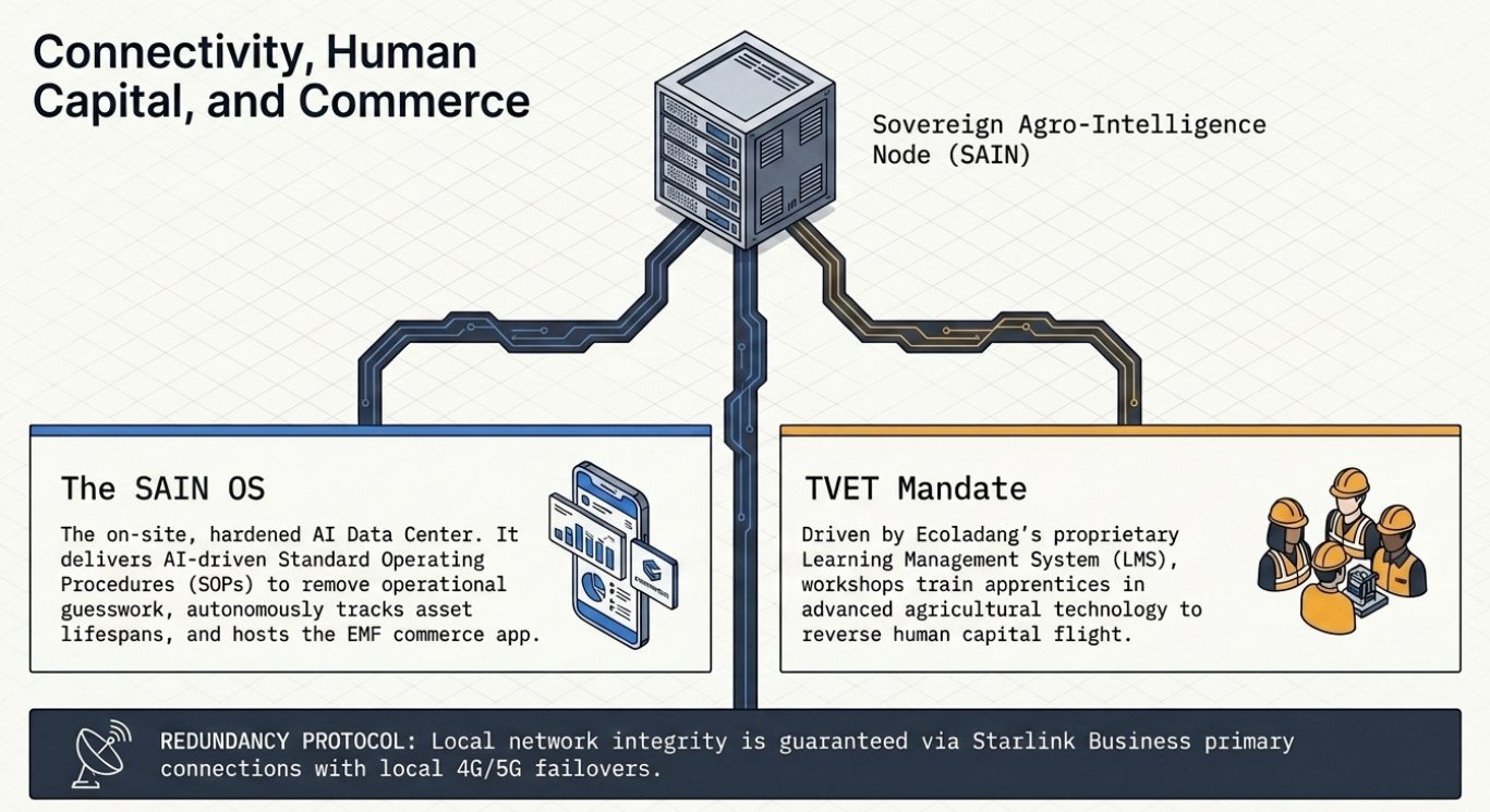 EMF Pillar 4: Infrastructure & Support Services - 7