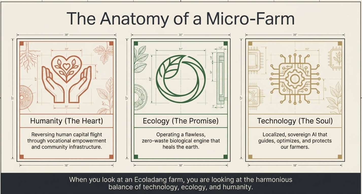 EMF - Cultivating Hope, Technology, and a Greener Future - 4