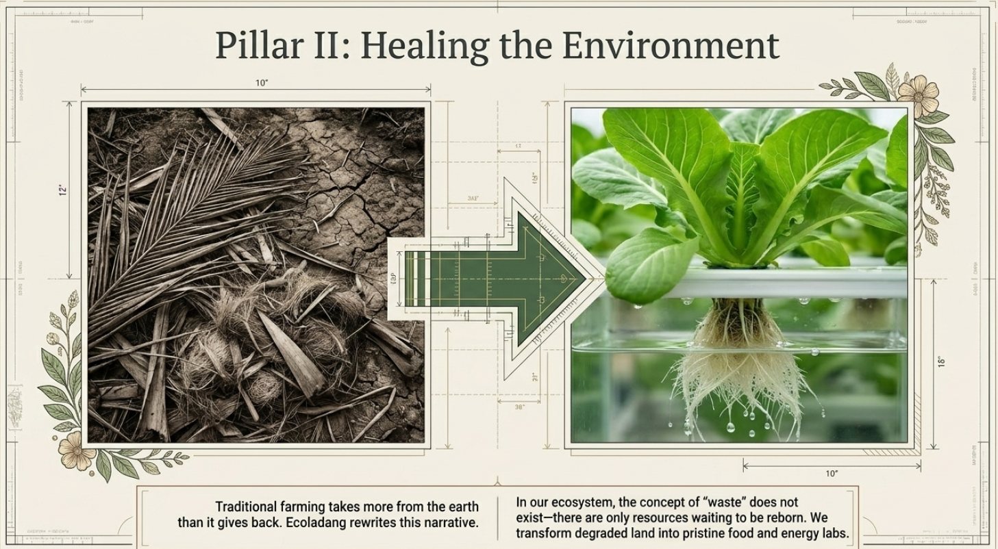EMF - Cultivating Hope, Technology, and a Greener Future - 7