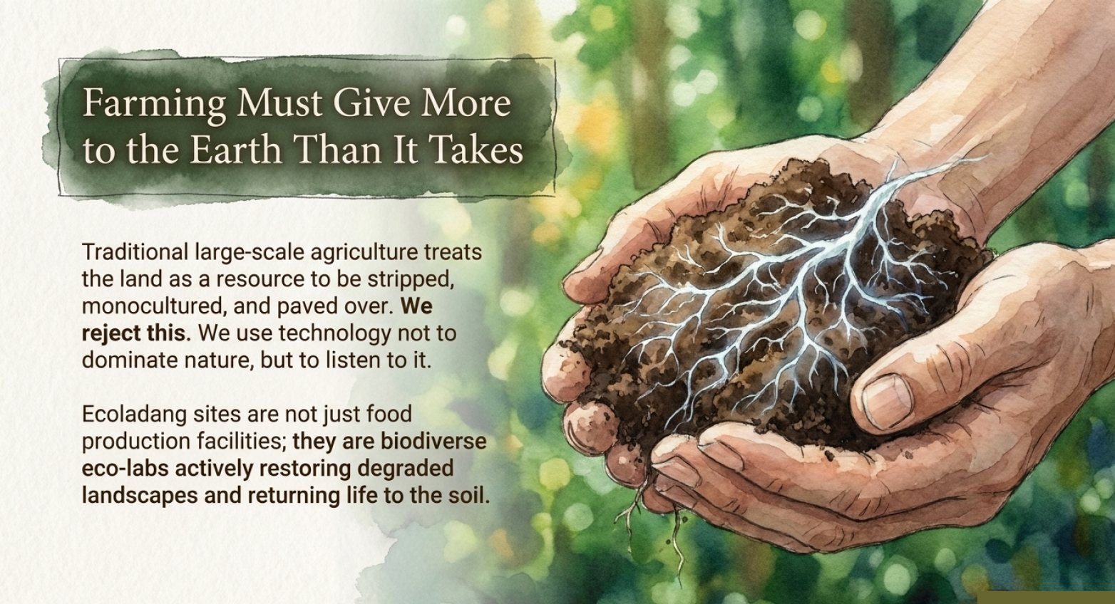 About Us: The Heart of Ecoladang - Sovereign Agrarian Mission - 3