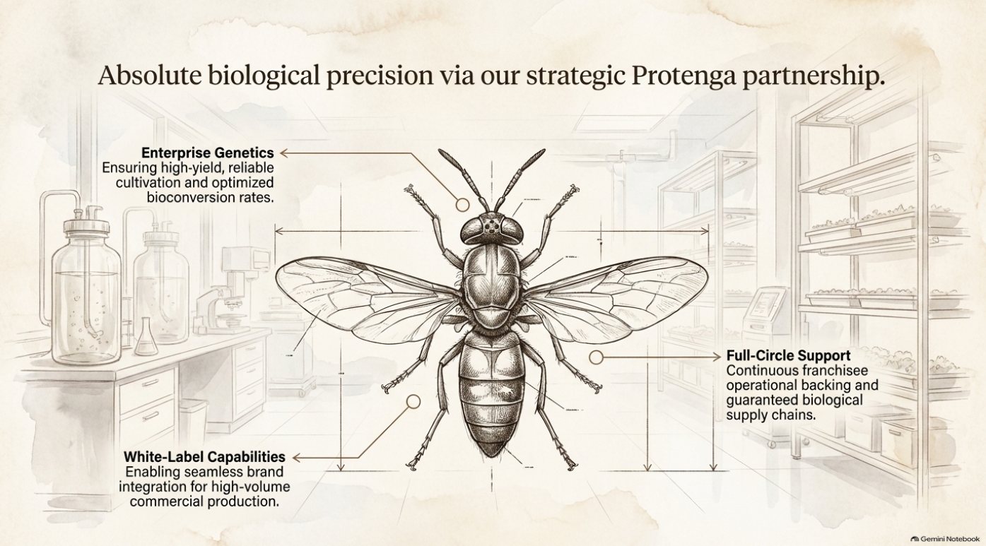 4-2-Insects (3)